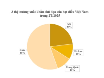 Bình Phước thông tin cơ hội, dự báo thị trường hạt điều năm 2025